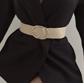 کمربند بیضی